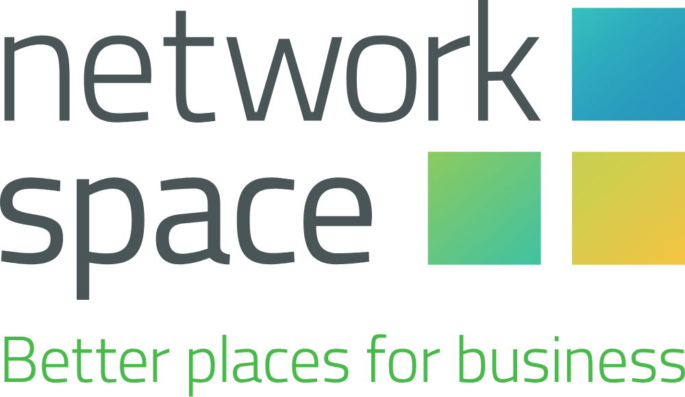 Network Space logo